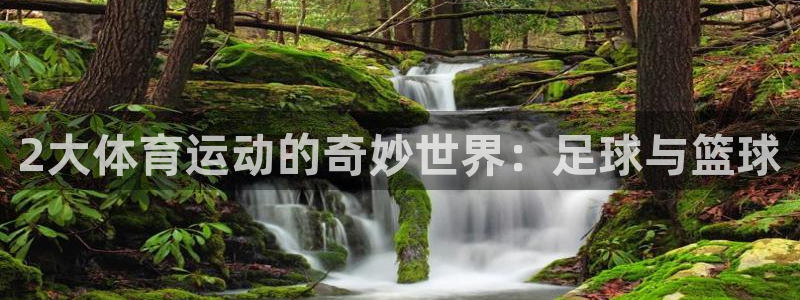 雨燕回放录像NBA：2大体育运动的奇妙世界：足球与篮球