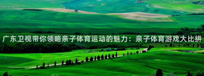 雨燕360体育：广东卫视带你领略亲子体育运动的魅力：亲子体育游戏大比拼