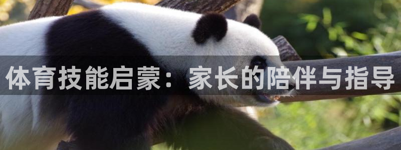 雨燕app官方下载安卓：体育技能启蒙：家长的陪伴与指导