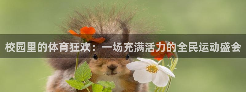 雨燕obd接口在哪图片：校园里的体育狂欢：一场充满活力的全民运动盛会