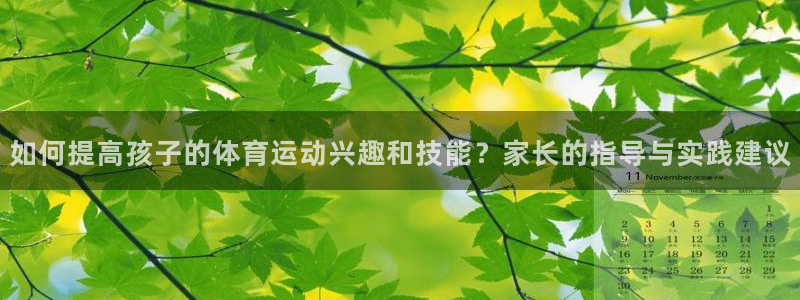 雨燕usb接口图解：如何提高孩子的体育运动兴趣和技能？家长的指导与实践建议