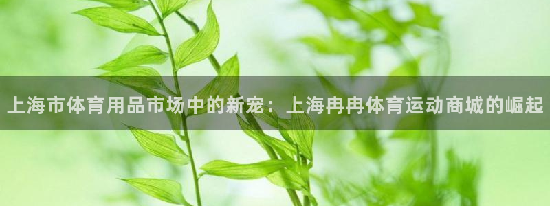 雨燕nba全场免费：上海市体育用品市场中的新宠：上海冉冉体育运动商城的崛起