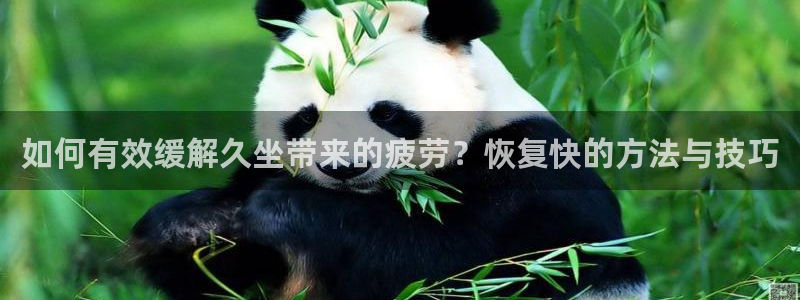 雨燕app体育在线直播：如何有效缓解久坐带来的疲劳？恢复快的方法与技巧