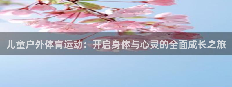 雨燕isofix接口在哪：儿童户外体育运动：开启身体与心灵的全面成长之旅