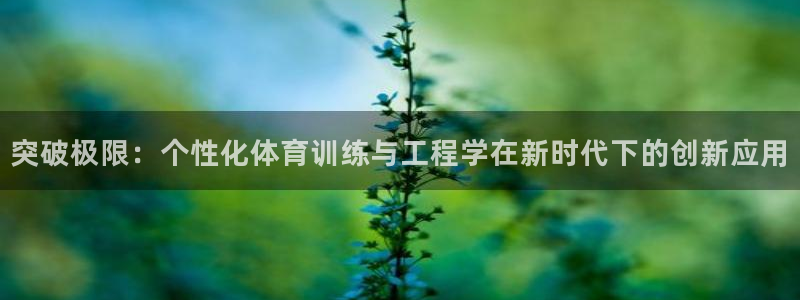 雨燕篮球直播：突破极限：个性化体育训练与工程学在新时代下的创新应用