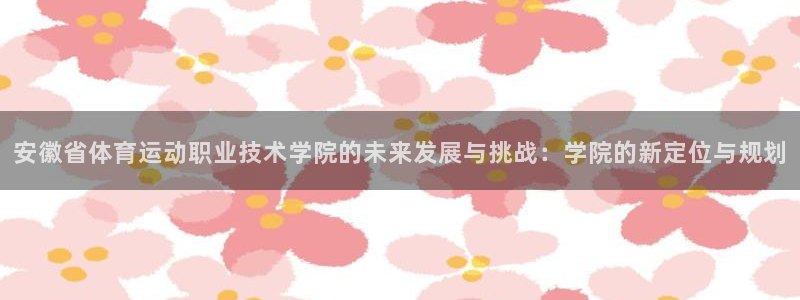 雨燕360体育nba季前赛：安徽省体育运动职业技术学院的未来发展与挑战：学院的新定位与规划