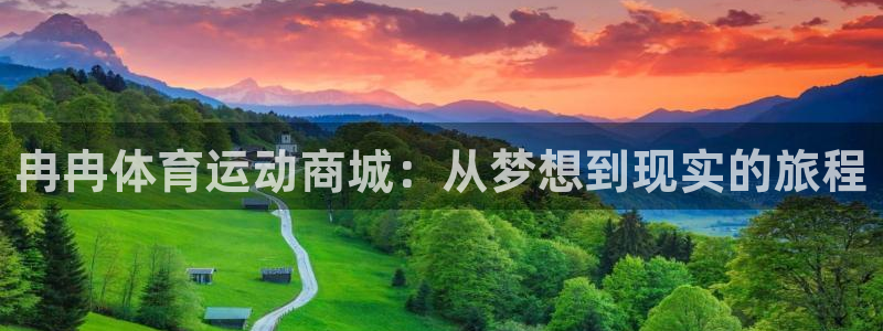 雨燕回放录像NBA：冉冉体育运动商城：从梦想到现实的旅程