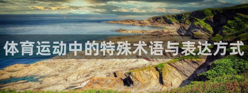 雨燕ufc直播在线直播：体育运动中的特殊术语与表达方式