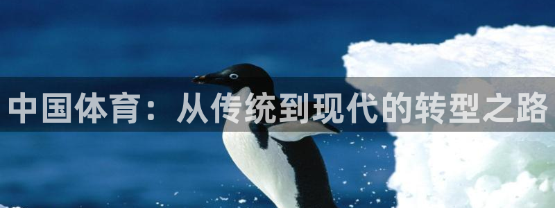雨燕nba直播免费高清在线：中国体育：从传统到现代的转型之路